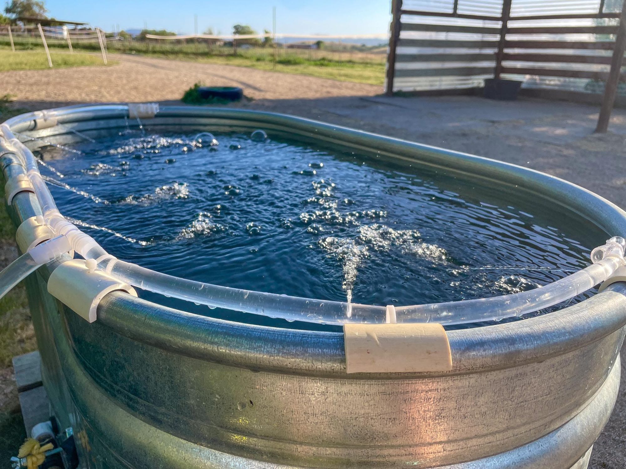 horse-trough-filter-fountain