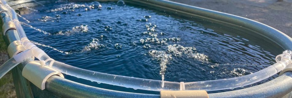 horse-trough-filter-fountain